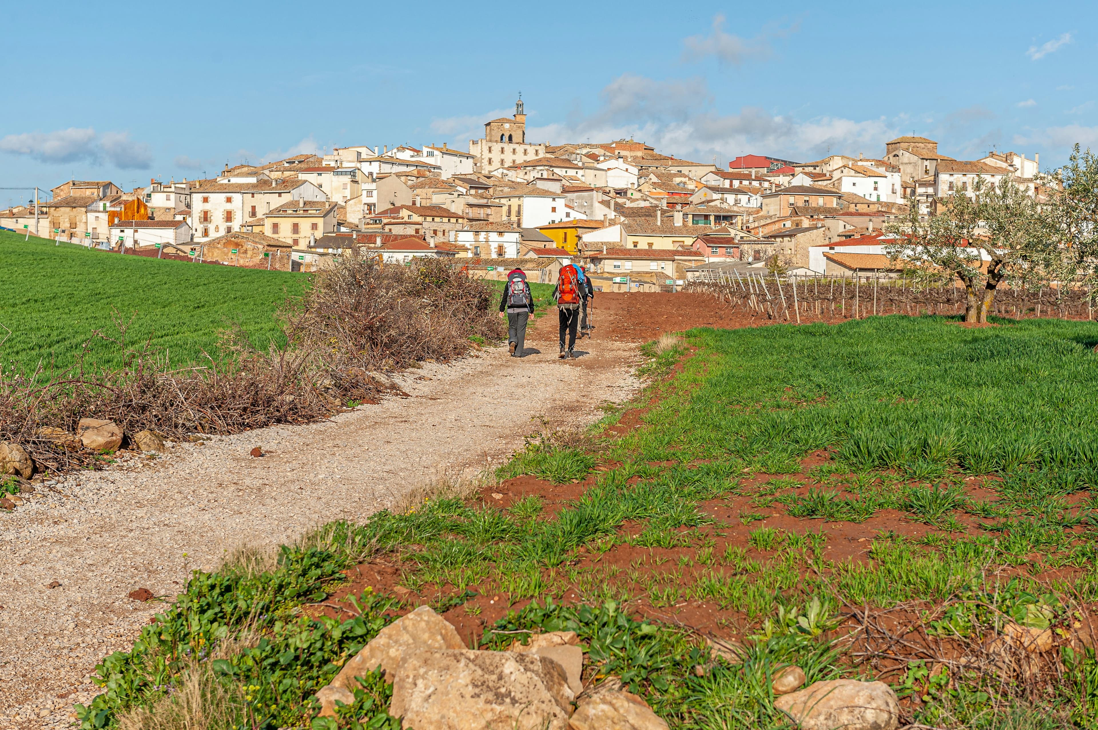 Hiking path