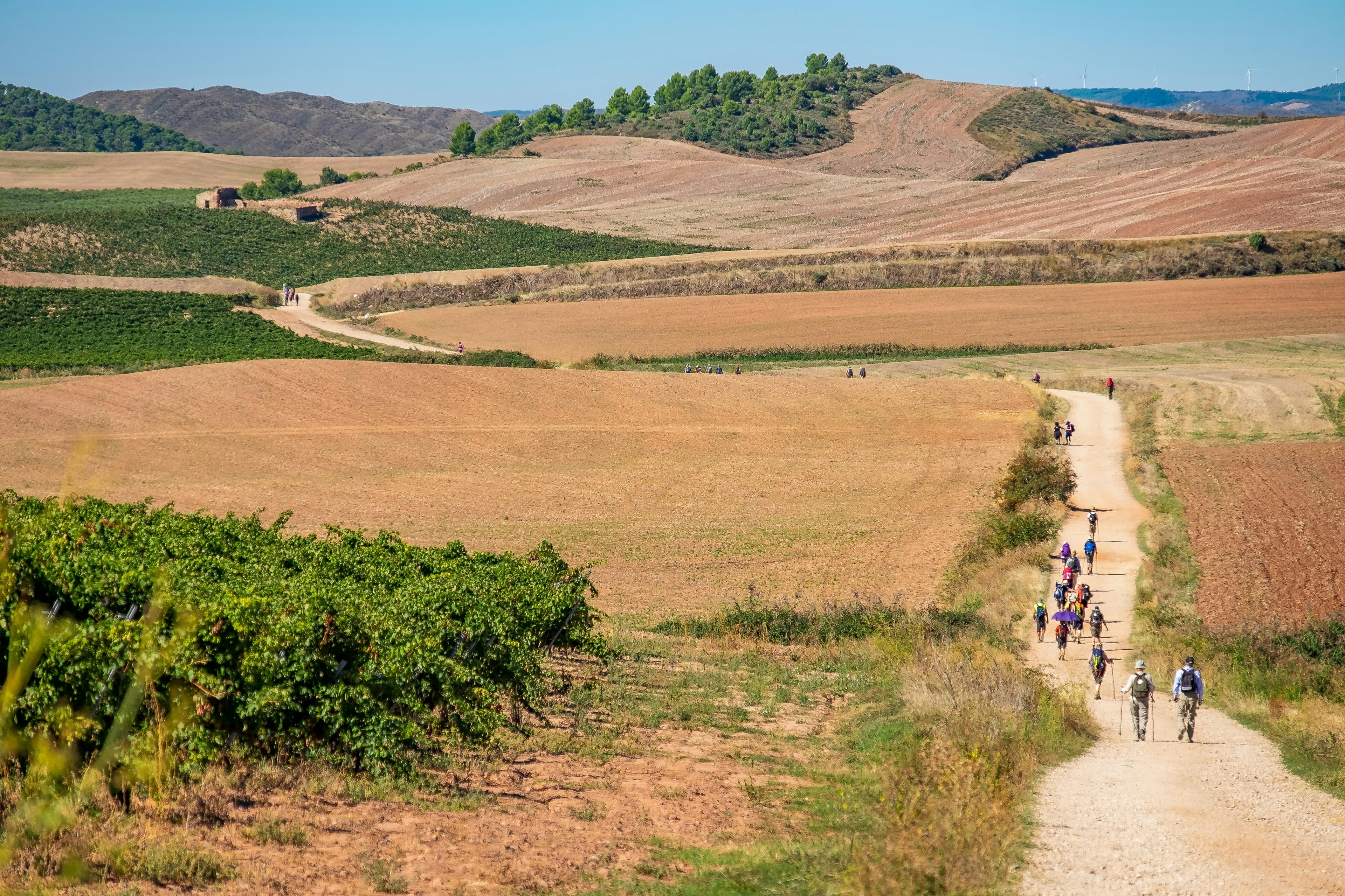 Camino paths