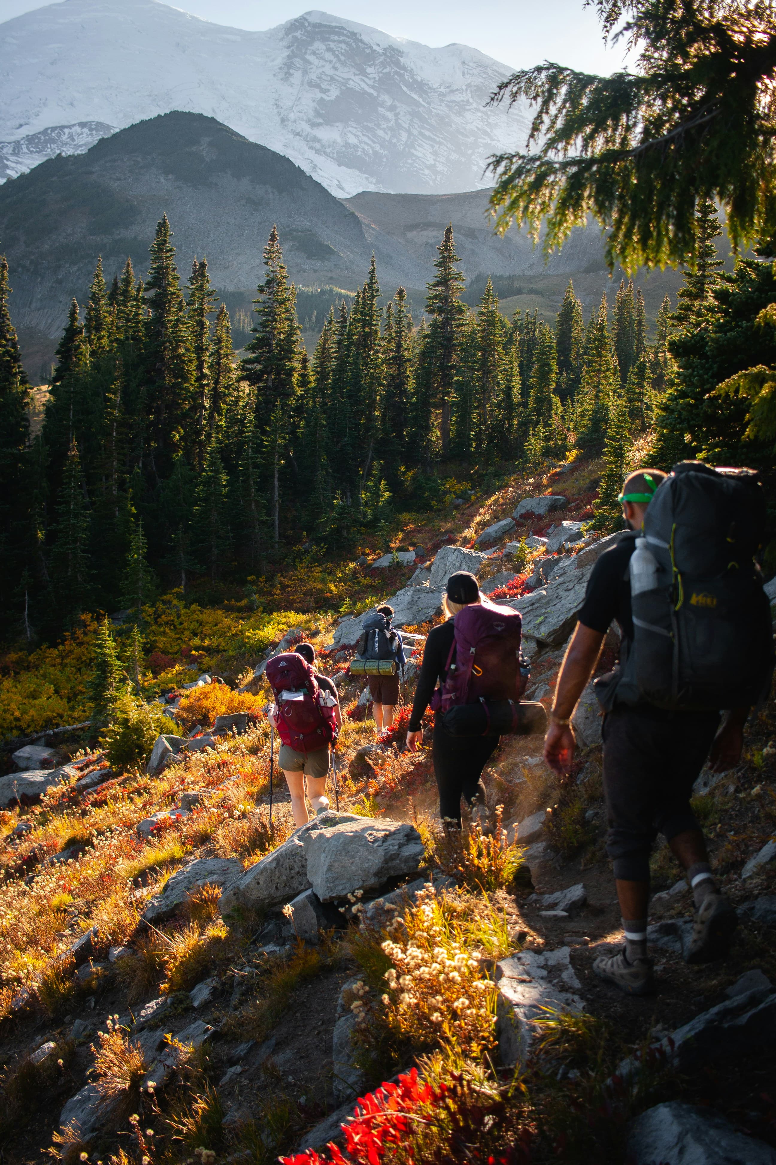 Trail journey